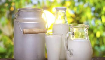 Чем отличается пастеризованное молоко от стерилизованного Чем отличается пастеризованное молоко стерилизованного молока